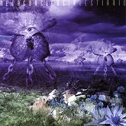 Metaconciencia - Bestiário