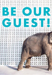 Be Our Guest! (Gray Malin)