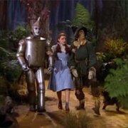 Lions, Tigers and Bears the Wizard of Oz
