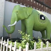 Elephant, Springfield, Illinois