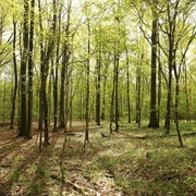 Long Hunter State Park