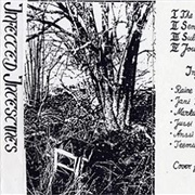 Infected Intestines - The Disguise