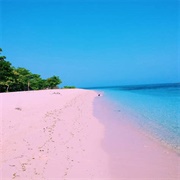 Pink Sand Beach, Great Santa Cruz Island, Philippines