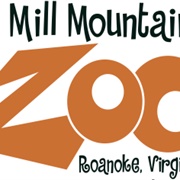 Mill Mountain Zoo
