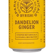 Rishi Sparkling Botanicals Dandelion Ginger