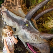 Torquay's Dinosaur World