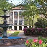 Louisiana College