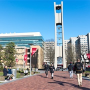 Temple University
