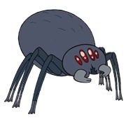 Spider