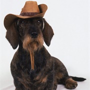 Identity Thieving Hat