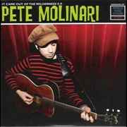 I Don't Like the Man I Am - Pete Molinari