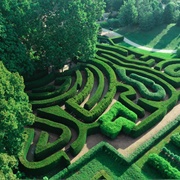Visit the Morton Arboretum