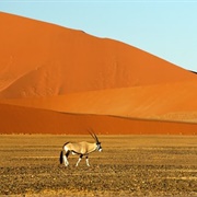Namib Naukluft