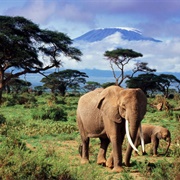Gashaka Gumti National Park, Nigeria