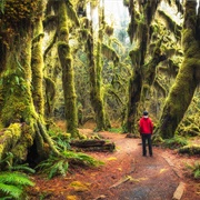 Olympic Peninsula, Washington