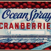 Ocean Spray Cranberries: Fresh