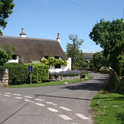 Knole, Long Sutton, Somerset, England