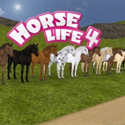 Horse Life 4