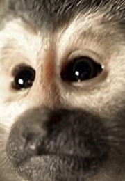 Your Inner Monkey (2014)