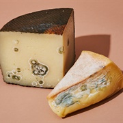 Moldy Cheese