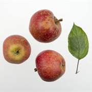 Kidd's Orange Red Apple