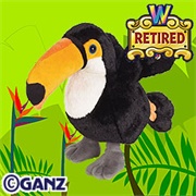 Toco Toucan