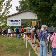 Fish Sandwich Festival, Bay Port, Michigan