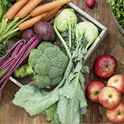 Eat Less Animal Products