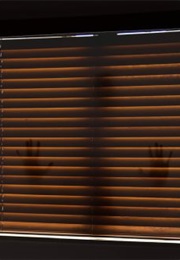 The Thing in the Window (-)