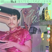 Pet Shimmers - Face Down in Meta