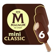 Magnum Mini Classic Ice Cream Bars