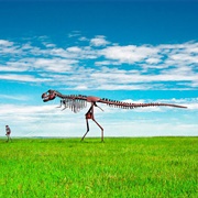 Skeleton Man Walking