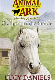 Stallion in the Stable (Lucy Daniels)