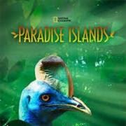 Paradise Islands