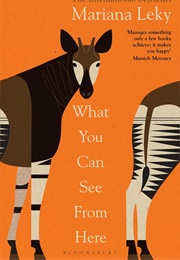 What You Can See From Here (Mariana Leky)