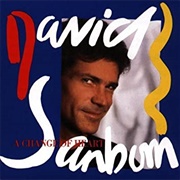 David Sanborn - A Change of Heart
