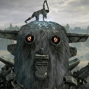Any of the Colossi - Shadow of the Colossus