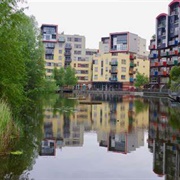 Greenwich Peninsula Ecology Park