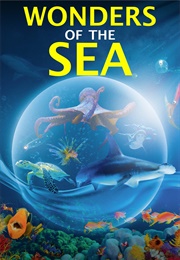 Wonders of the Sea (2017)
