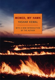 Memet, My Hawk (Yasar Kemal)