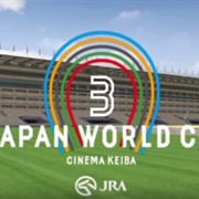 Japan World Cup