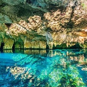 Swim in a Cenote in Mexico