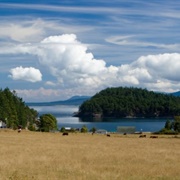 Stuart Island Marine State Park