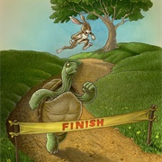 The Tortoise and the Hare