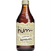 Humm Coconut Lime Kombucha