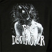 Pig Destroyer - Terrifyer