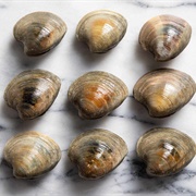 Cherrystone Clams