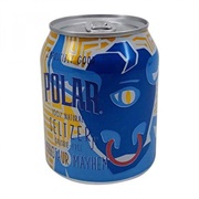 Polar Seltzer Jr Minotaur Mayhem