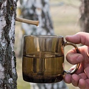 Birch Tree Kvass