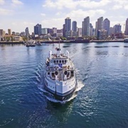 San Diego Harbor Cruise